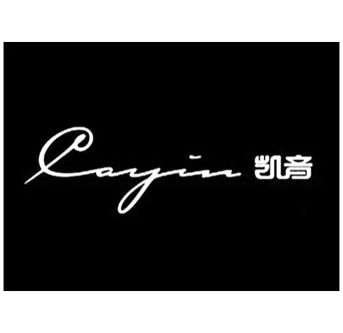 Cayin